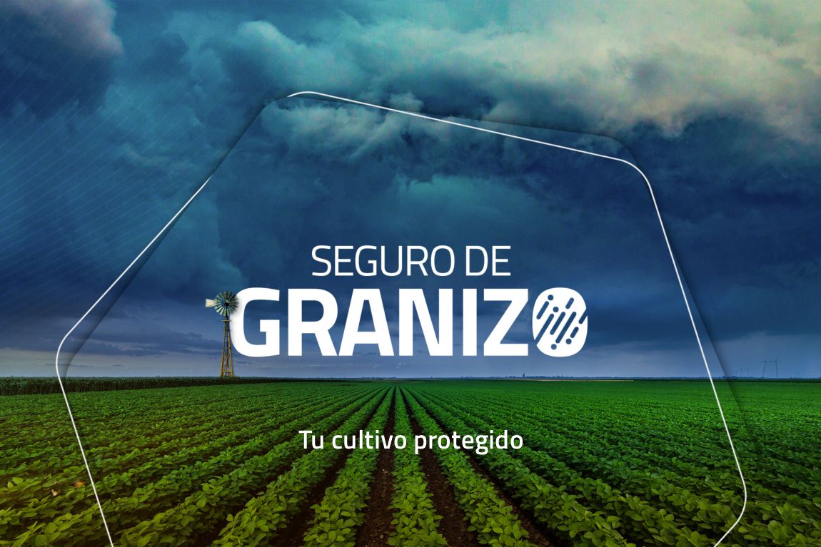 Seguro de Granizo